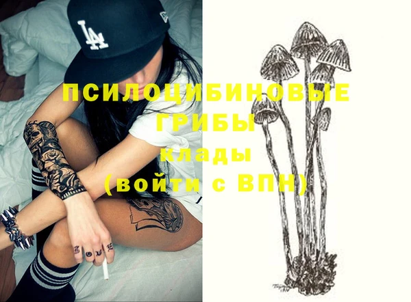 Альфа ПВП Зерноград