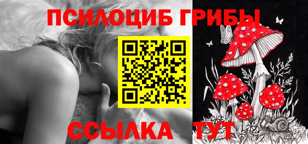 Луховицы  Псилоцибиновые грибы ЛСД  Вход с VPN 